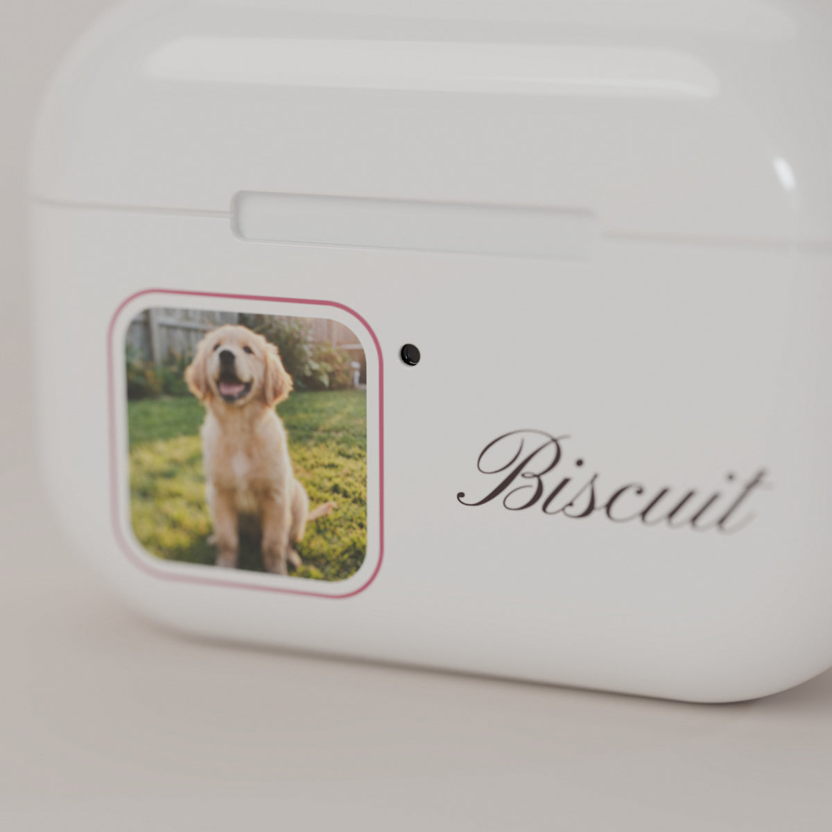 Close-up of the personalized AirPods case print: golden retriever photo in a rose-traced window and Biscuit in script on a glossy cream shell