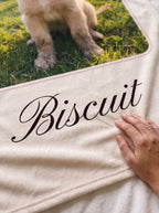 Close-up of the soft velveteen pile and printed name Biscuit on a personalized pet blanket