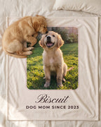 Golden retriever puppy napping on his own custom photo blanket