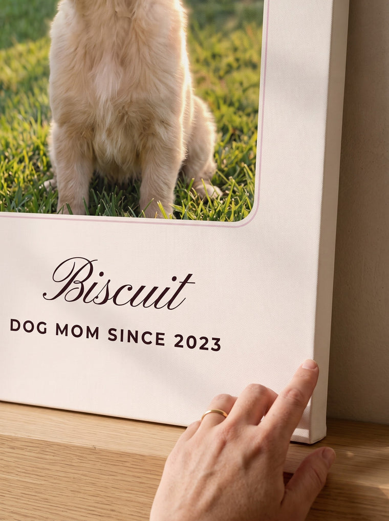 Custom pet portrait canvas on a sunlit wall