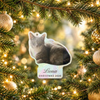 Holographic Photo Ornament, Cut to Shape, broken glass, 5 in, live preview with a sample photo