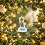 Holographic Photo Ornament, Cut to Shape, broken glass, 3.5 in, live preview with a sample photo of Biscuit