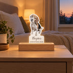 Custom Photo Night Light with Name, 6 in warm, live preview with a sample photo of Cooper