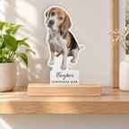 Custom Photo Acrylic Plaque with Name, 6x8, live preview with a sample photo