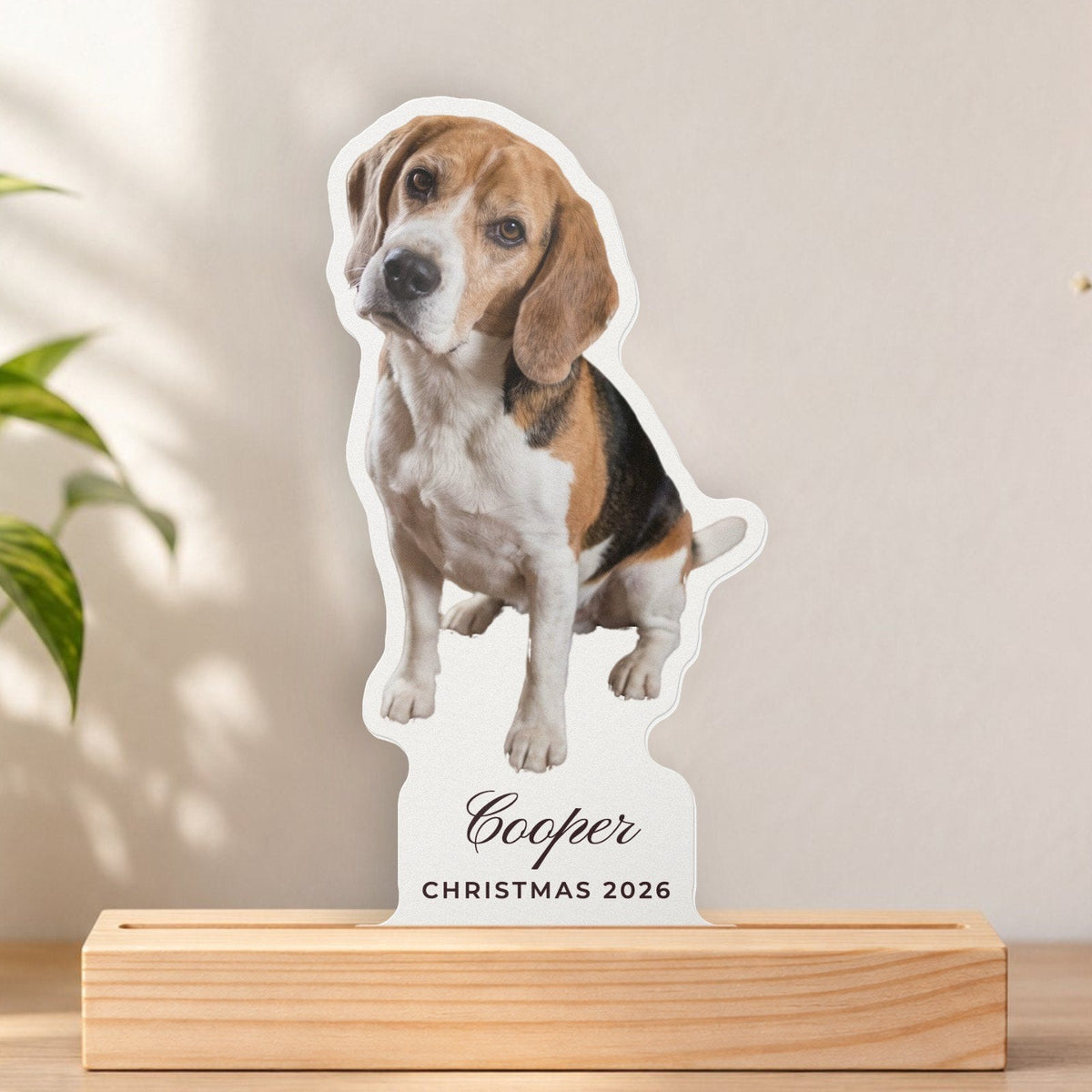 Custom Photo Acrylic Plaque with Name, close-up of the personalised print