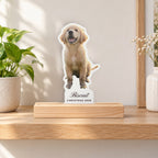 Custom Photo Acrylic Plaque with Name, 4x6, live preview with a sample photo of Biscuit